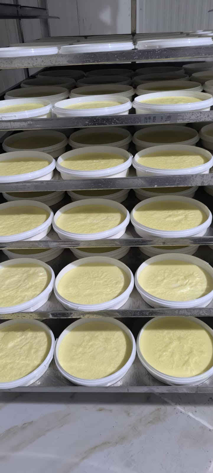 Süt Kaymağı 2KG - Batman Köy Market | Yoğurt / SÜT