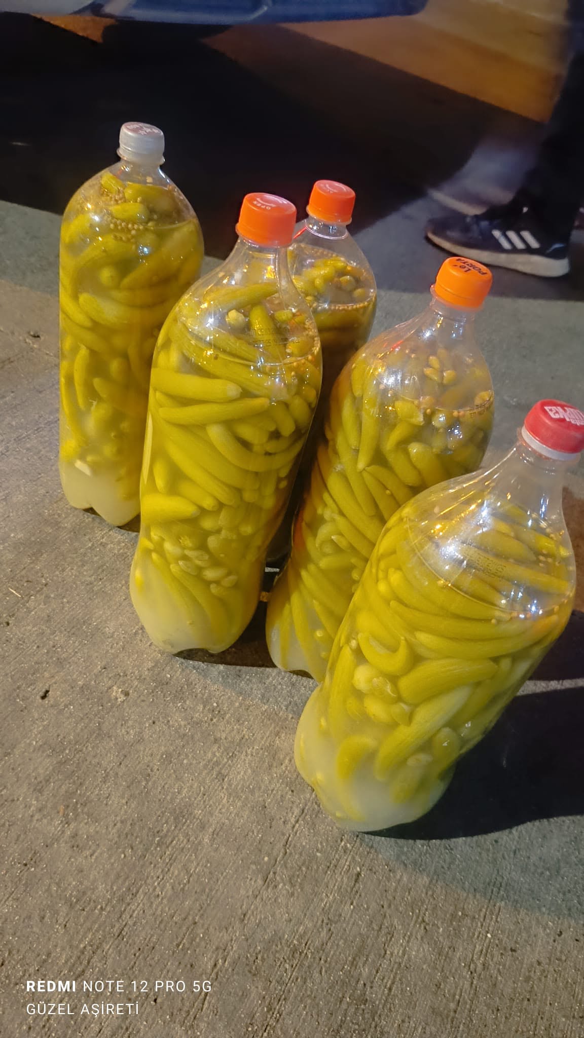 Acur Turşusu 2,5 L - Görsel 2
